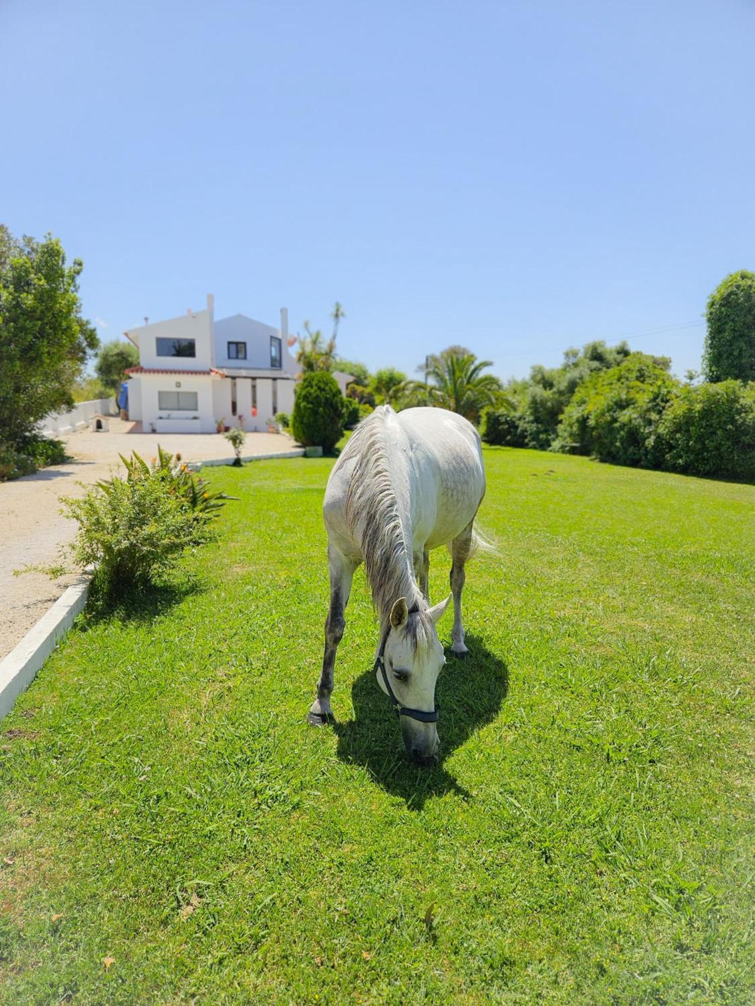 Casa Seahorses B Cottage Sintra Eksteriør bilde