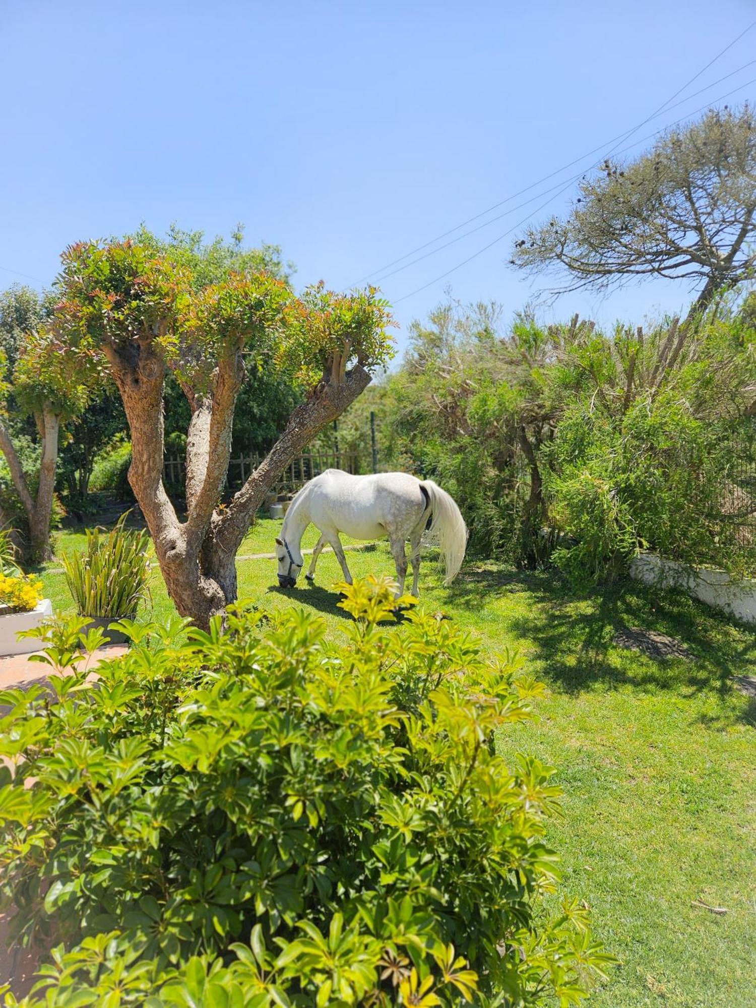 Casa Seahorses B Cottage Sintra Eksteriør bilde